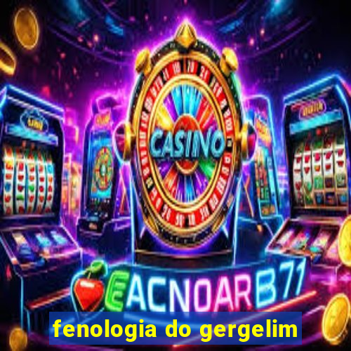 fenologia do gergelim